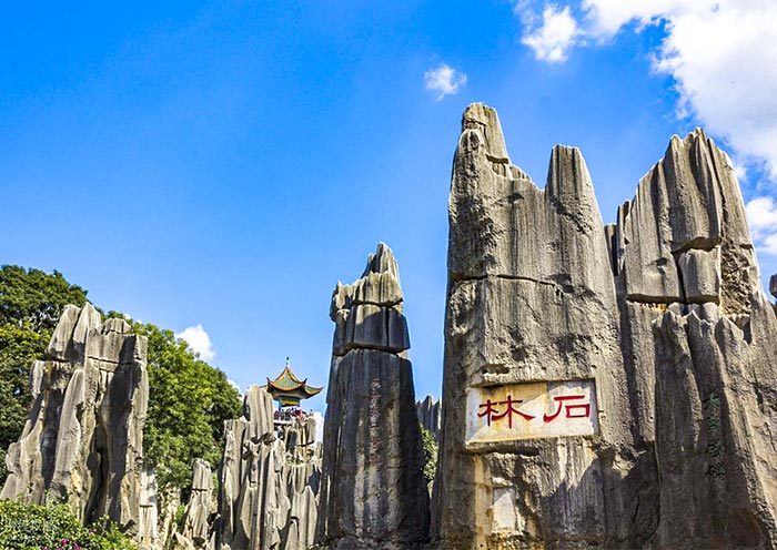 stone forest