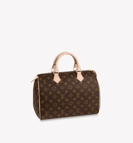 LOUIS VUITTON スピーディ 30