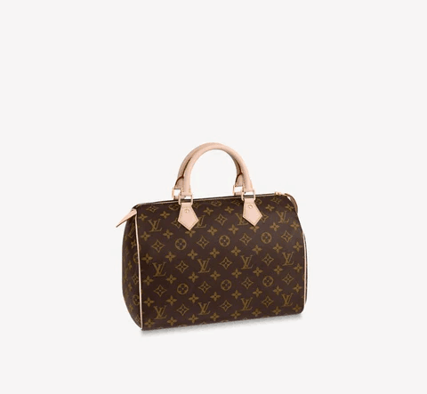 LOUIS VUITTON スピーディ 30