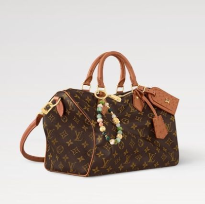 【便利なサイズ感♪】ルイヴィトン スピーディソフト30 バッグ