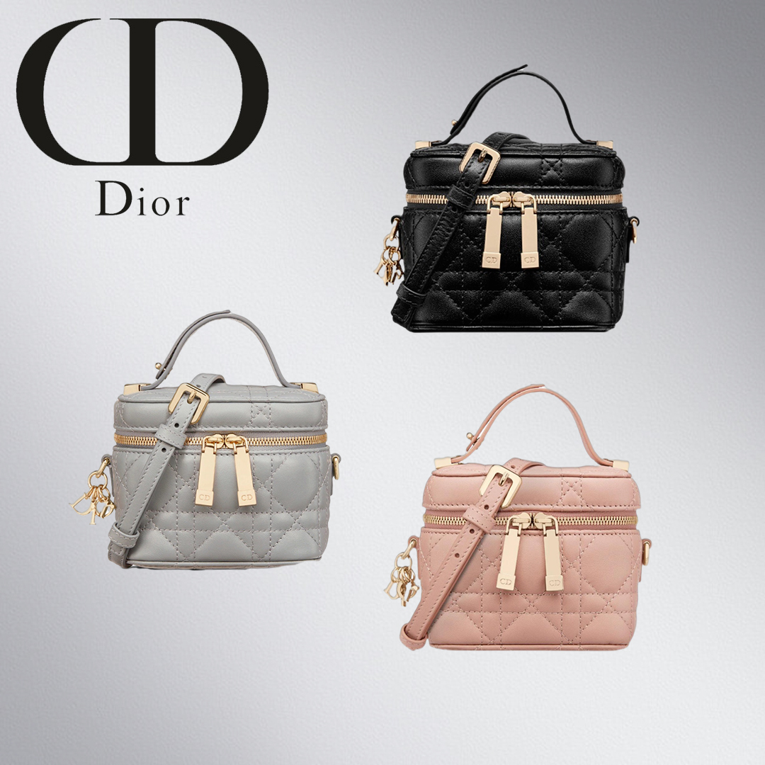 【大人気3色】日本未入荷　マイクロ　バニティ　バックLADY Dior