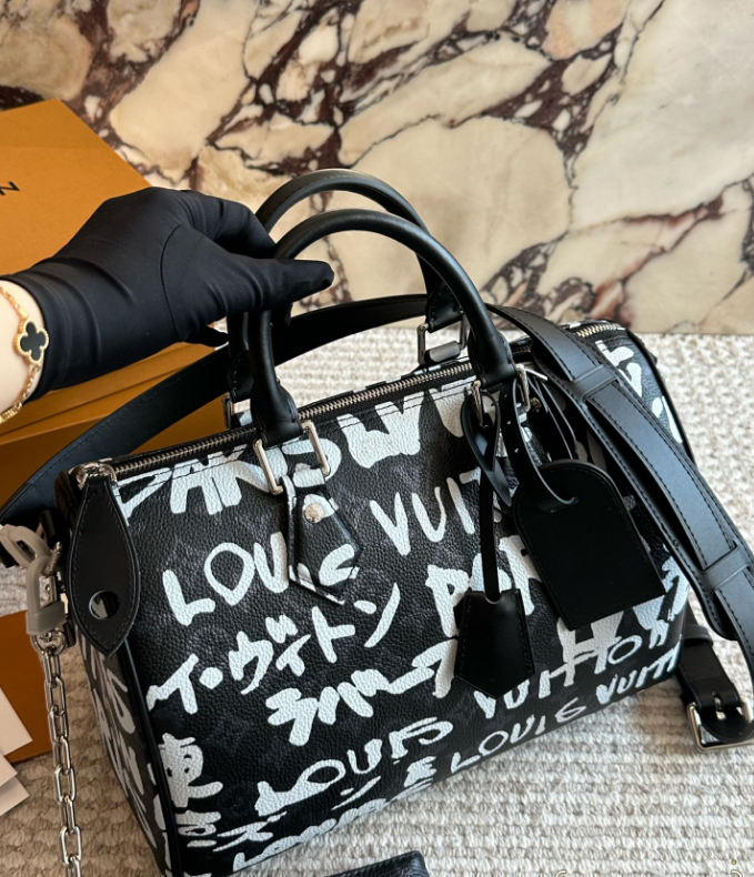 【NIGO コラボ】ルイヴィトン　スピーディ30 ハンドバック