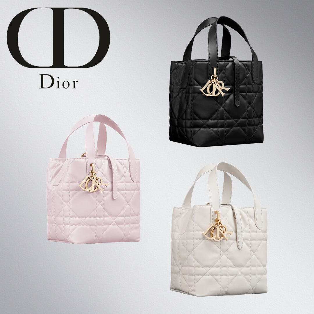 【 Dior 】Dior Toujours バーティカル トートバッグ スモール