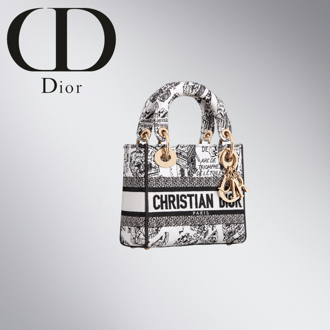 DIOR★LADY D-LITE Plan de Paris バッグ ミニ★関税込み