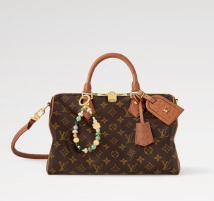 【便利なサイズ感♪】ルイヴィトン スピーディソフト30 バッグ