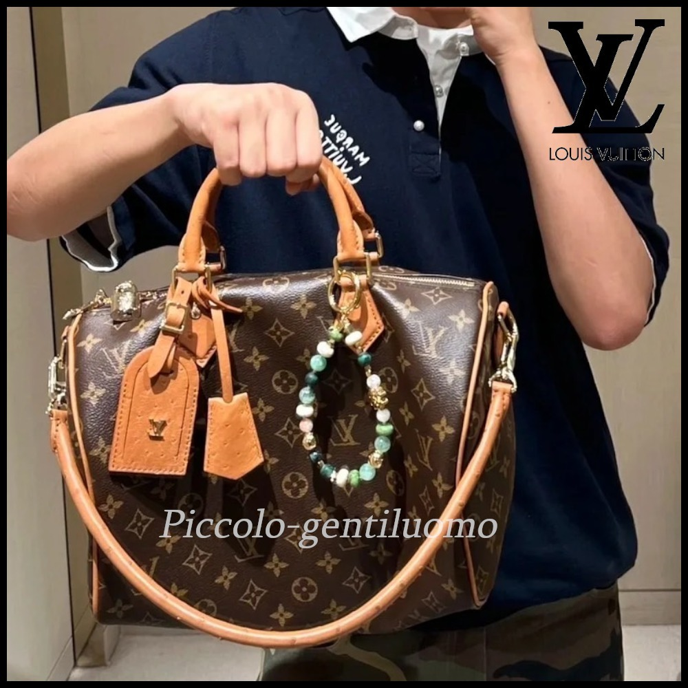 【便利なサイズ感♪】ルイヴィトン スピーディソフト30 バッグ