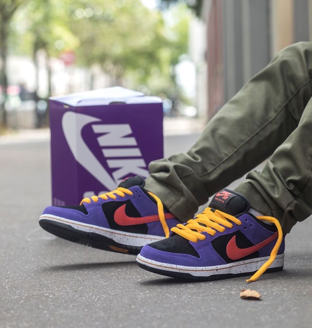 Nike Dunk Low SB x ACG
