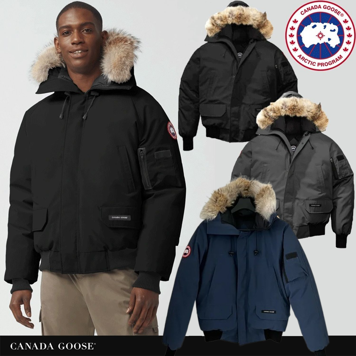 Canad Goose チリワック爆撃機の遺産