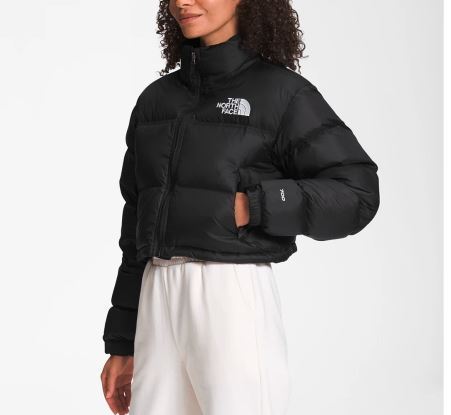 ★THE NORTH FACE★ ショート丈 NUPTSE Jacket　★送関込み