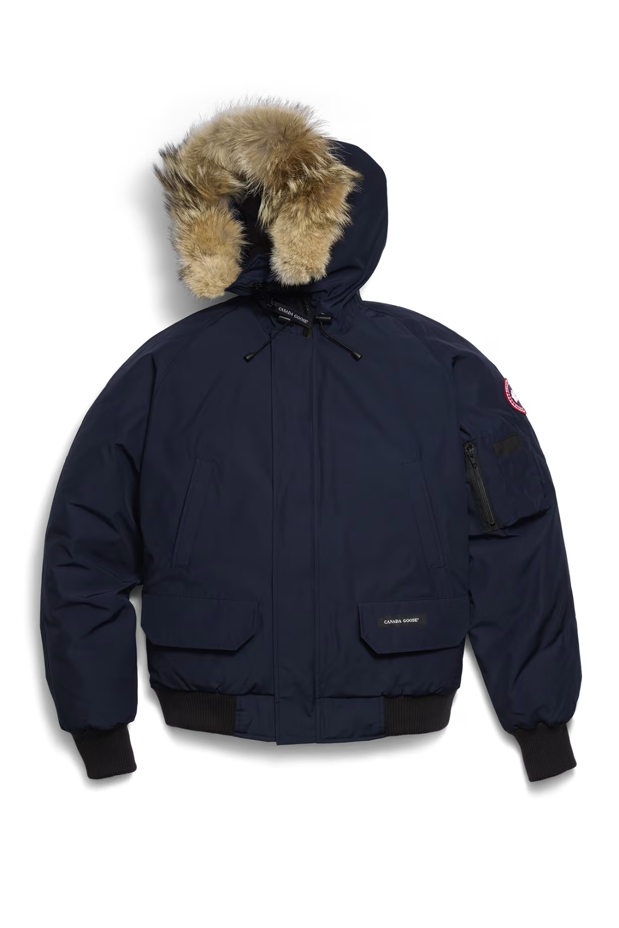 Canad Goose チリワック爆撃機の遺産