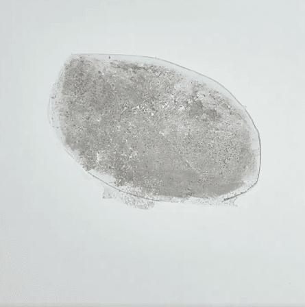 Honeycam 2025-08-27 16-43-54.gif