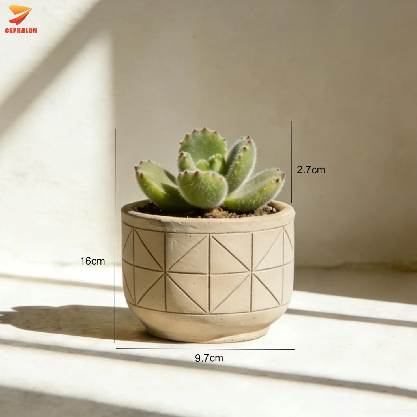 桌面盆栽綠植2個