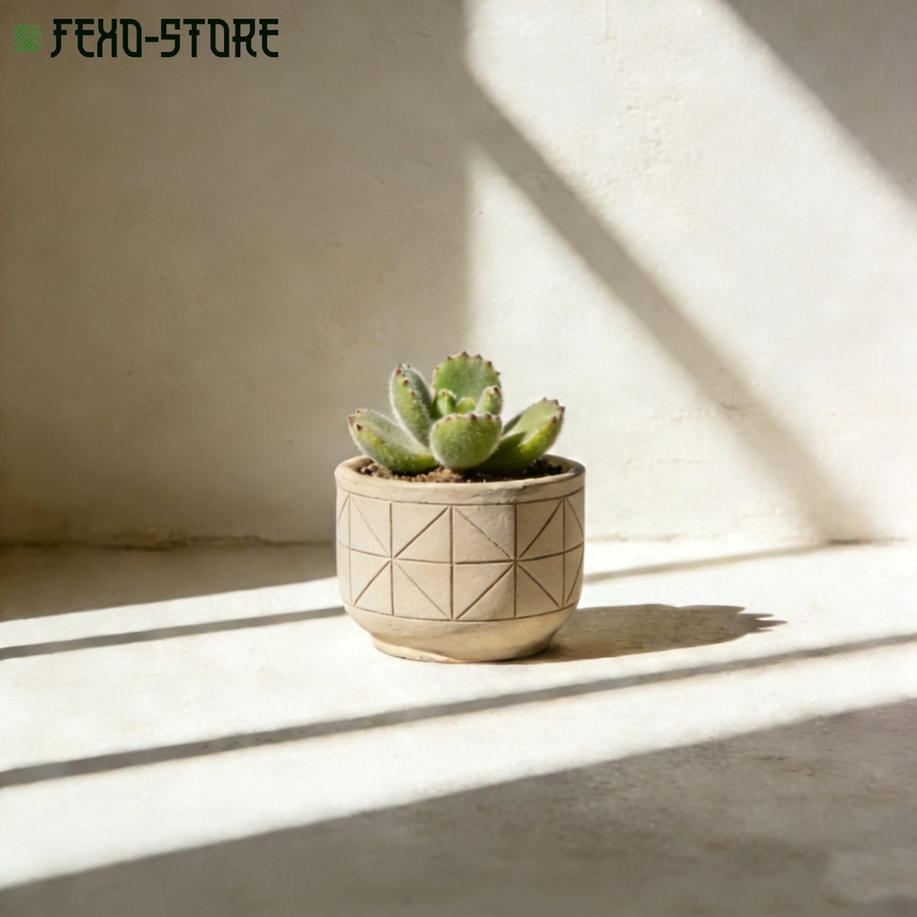 桌面盆栽綠植2個