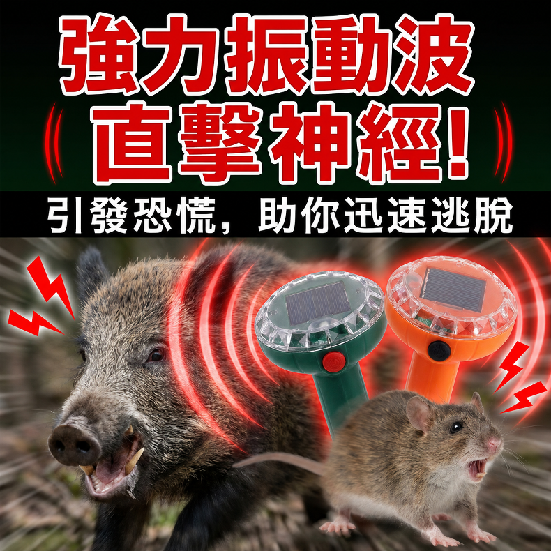 详情图6.png