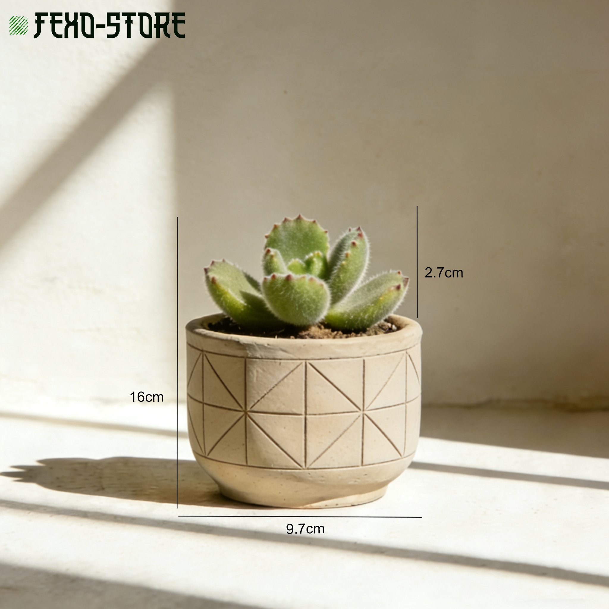 桌面盆栽綠植2個組合展示圖