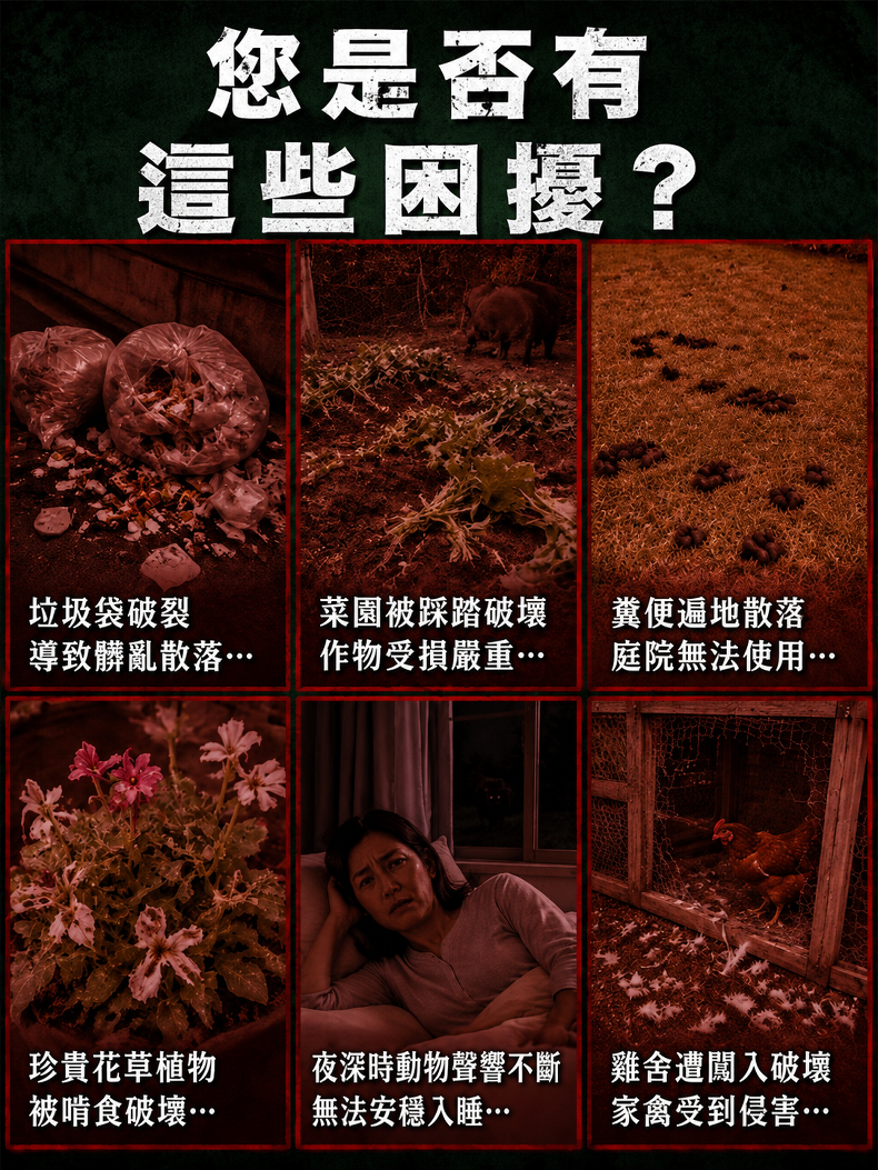 详情图8.png