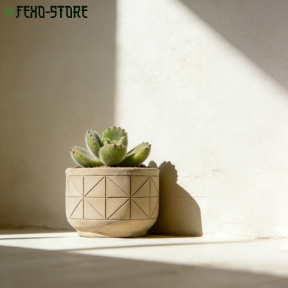 桌面盆栽綠植2個