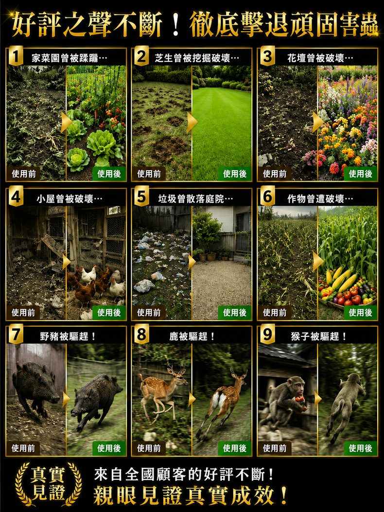 详情图5.png