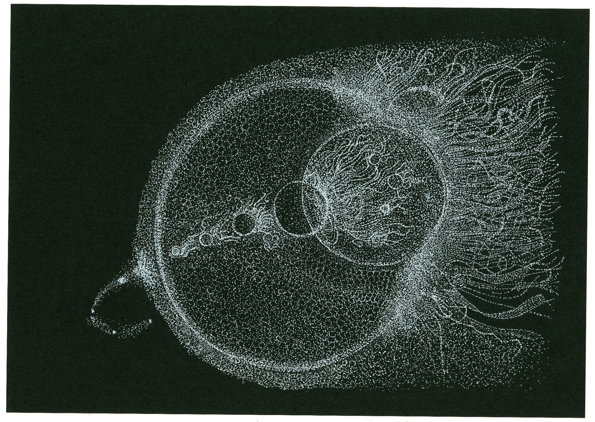 『宇宙循環の球体 ― 意識と波動の共鳴』／cosmic 031