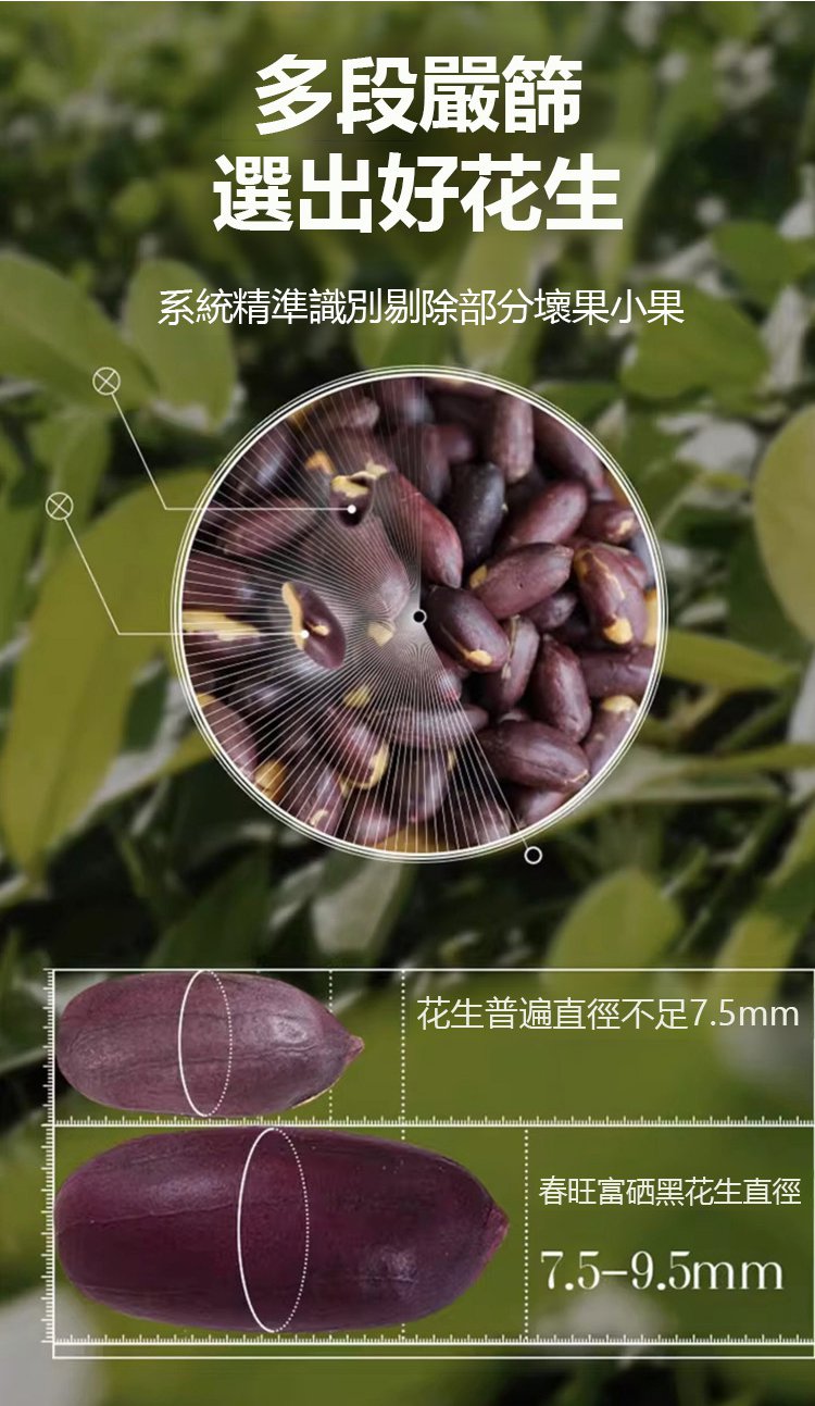 翻译_16.jpg
