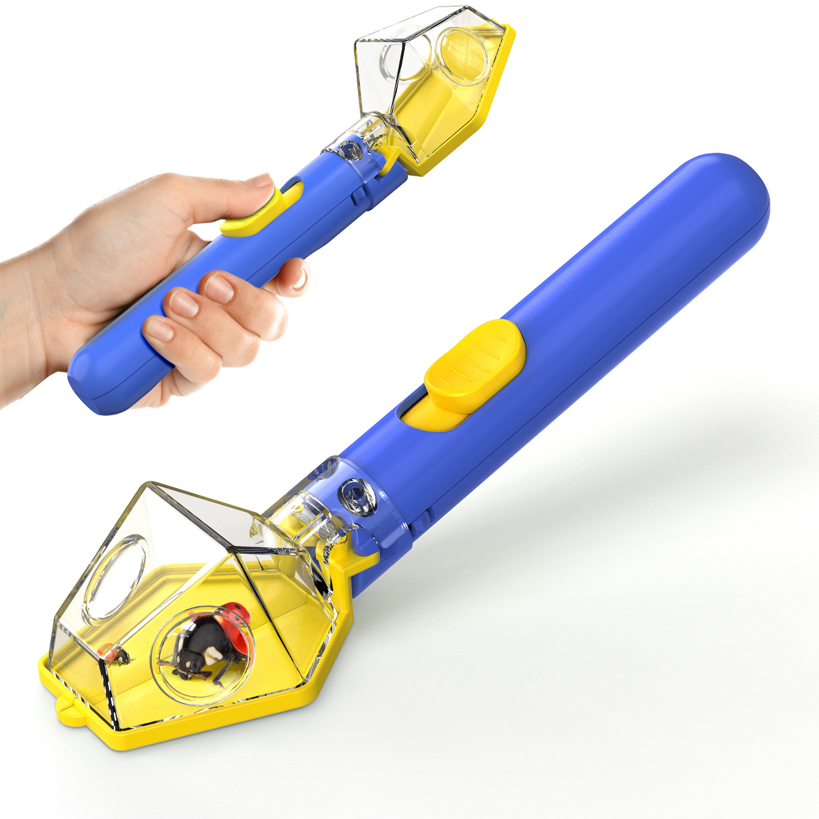 child insect catcher