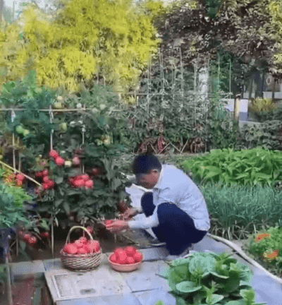 Honeycam 2026-06-26 15-00-50.gif