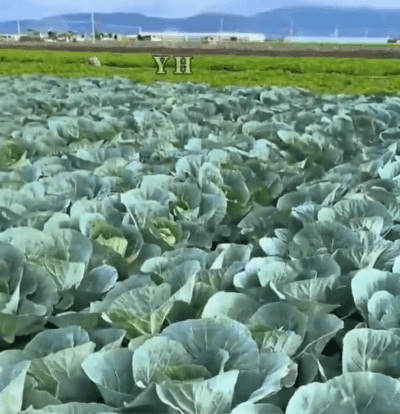 Honeycam 2026-06-26 15-04-30.gif