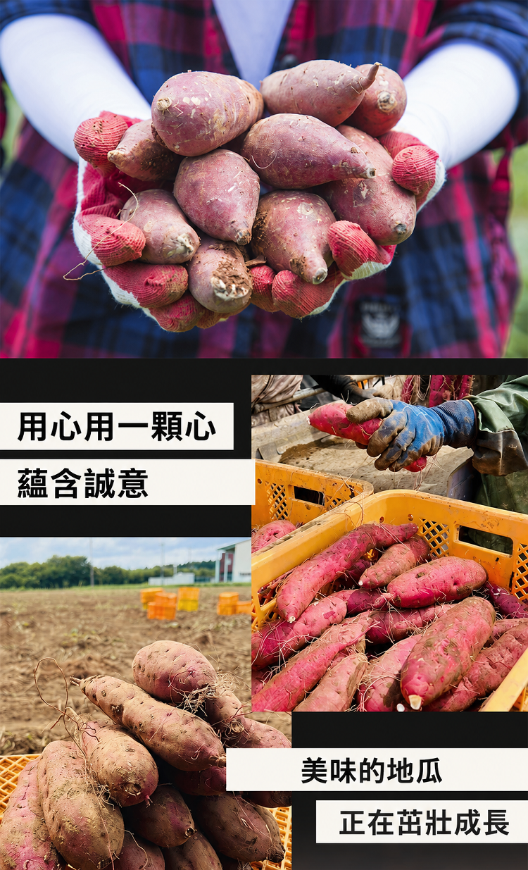 详情图15.png