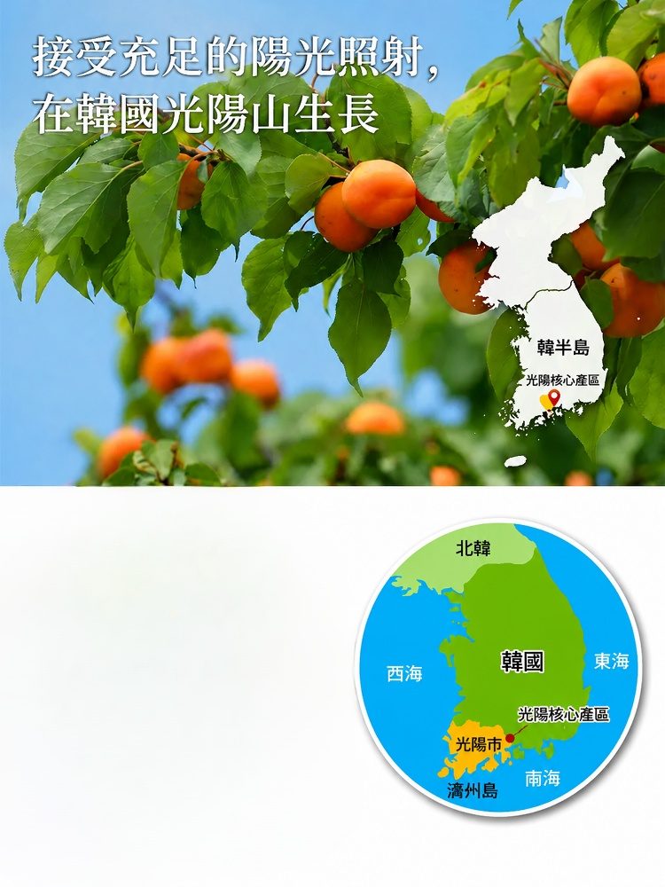 JL-【國會營養師推薦】特級營養無核金黃杏乾
