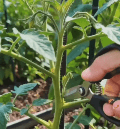 Honeycam 2026-06-26 14-59-28.gif