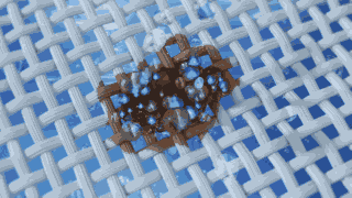 8d67de0f409a762d7f90cbca1b1860b4.gif