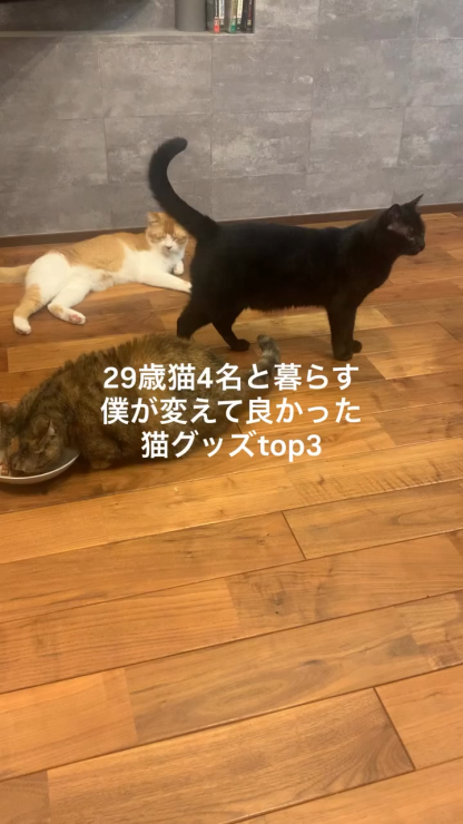 Niyaya Y3 Pro 猫 自動給水器 4500ML 大容量 ステンレス製 コードレス 35日間連続稼働 5重ろ過 フィルター交換簡単 20dB 4000mAh バッテリー脱着式 水跳ね防止 ペットペット給水器