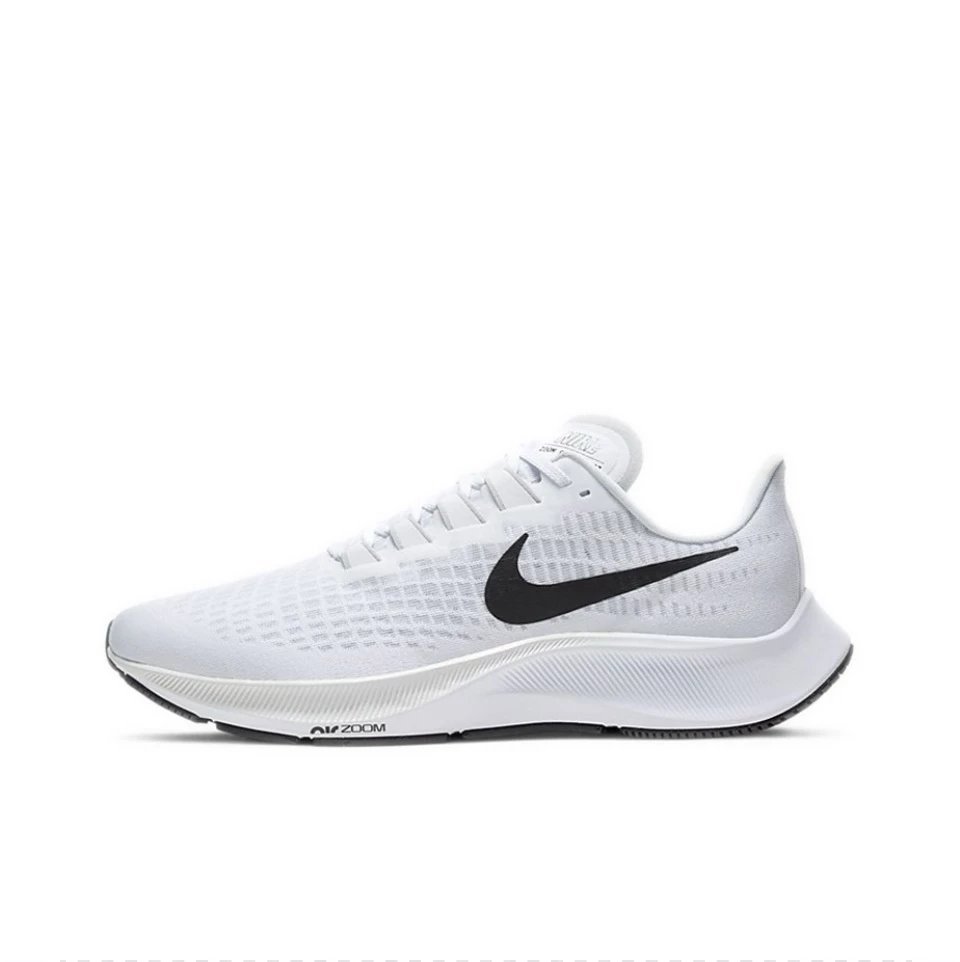 飛馬 Pegasus 37 系列
