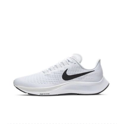 飛馬 Pegasus 37 系列