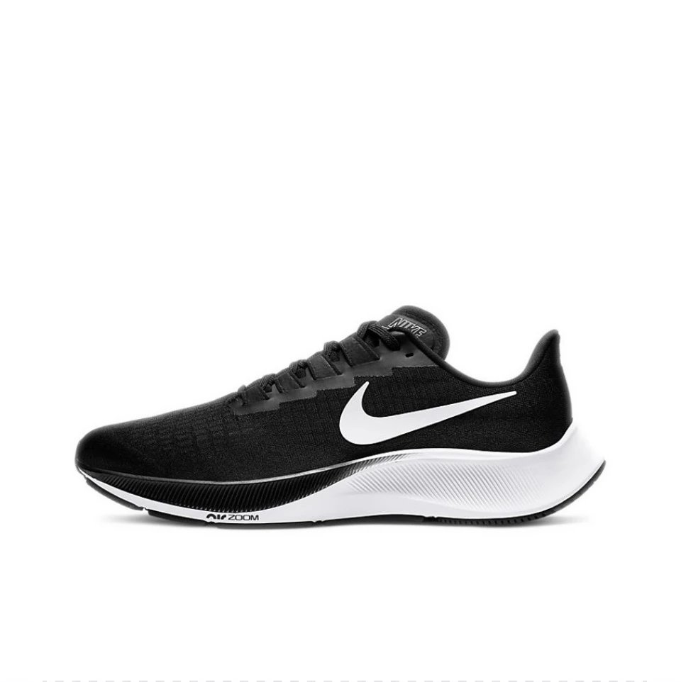飛馬 Pegasus 37 系列