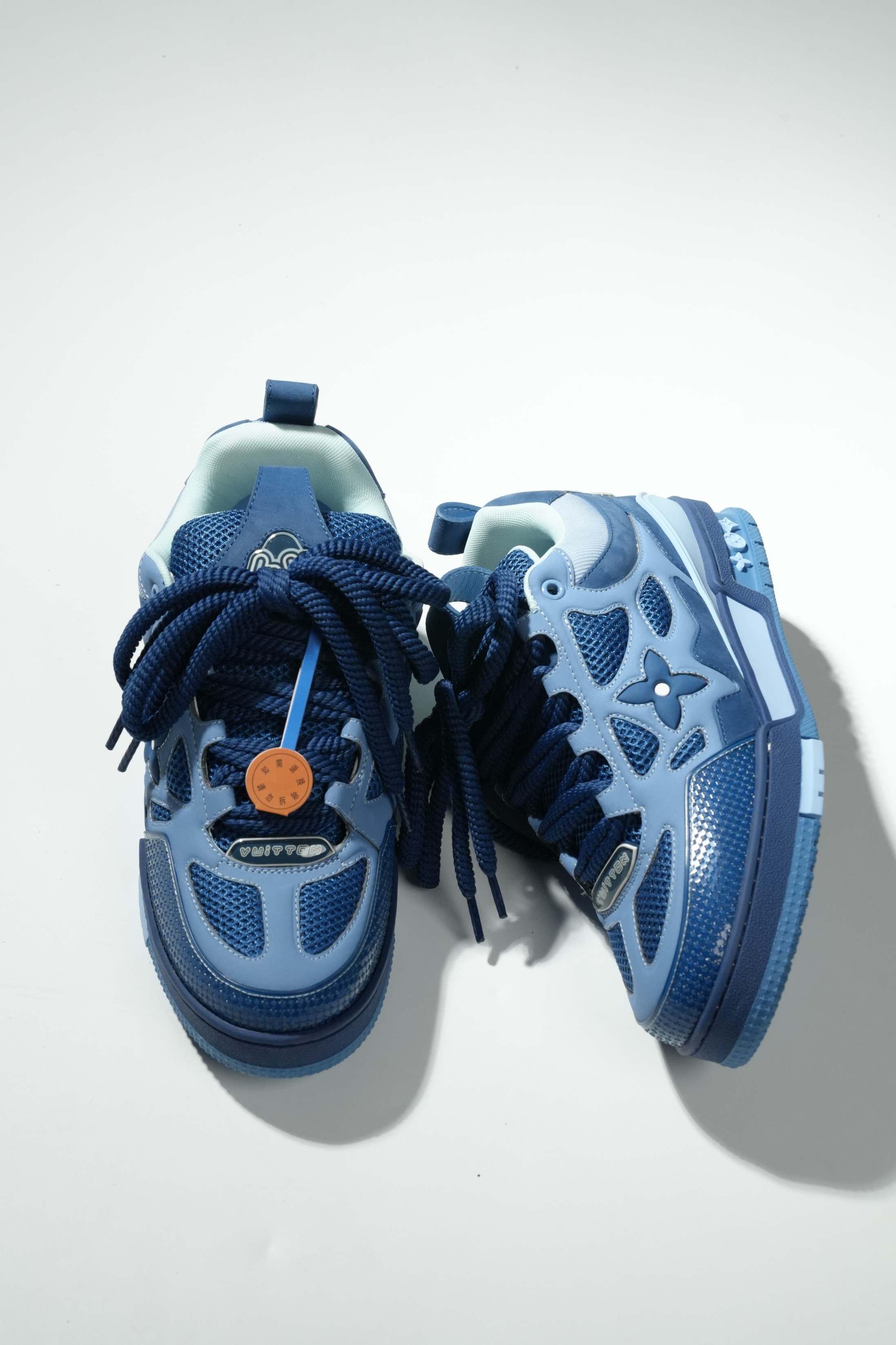 LOUIS VUITTON Skate