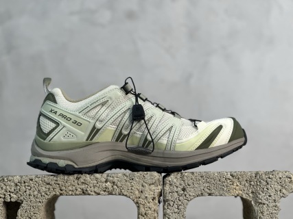 SALOMON XA Pro 3D ADV