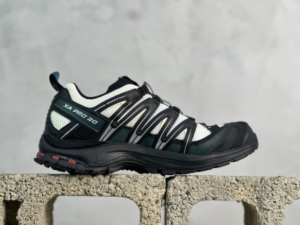 SALOMON XA Pro 3D ADV