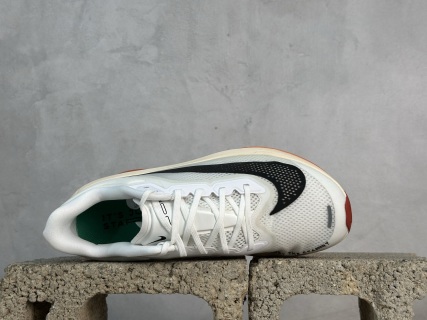 Nike Zoom Fly 6