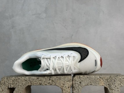 Nike Zoom Fly 6