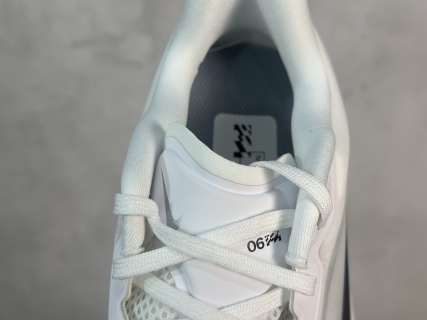 Nike Zoom Fly 6