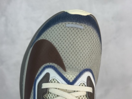 Nike Zoom Fly 6