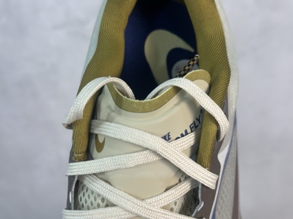 Nike Zoom Fly 6
