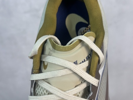 Nike Zoom Fly 6