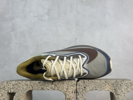 Nike Zoom Fly 6