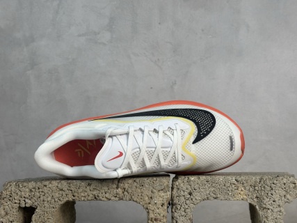 Nike Zoom Fly 6