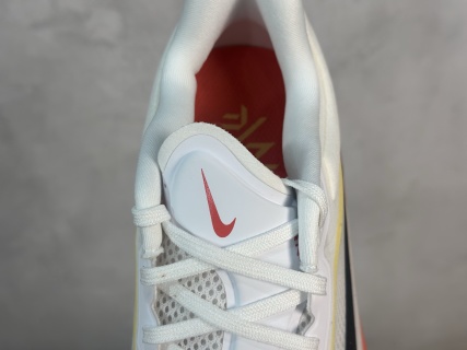 Nike Zoom Fly 6