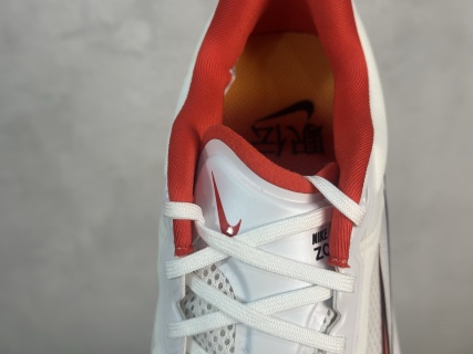 Nike Zoom Fly 6