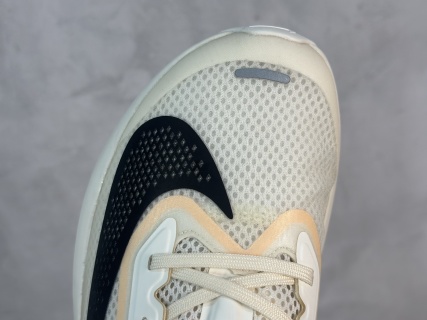 Nike Zoom Fly 6