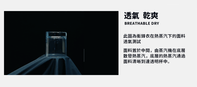17.gif